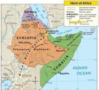 The Horn of African Security Review